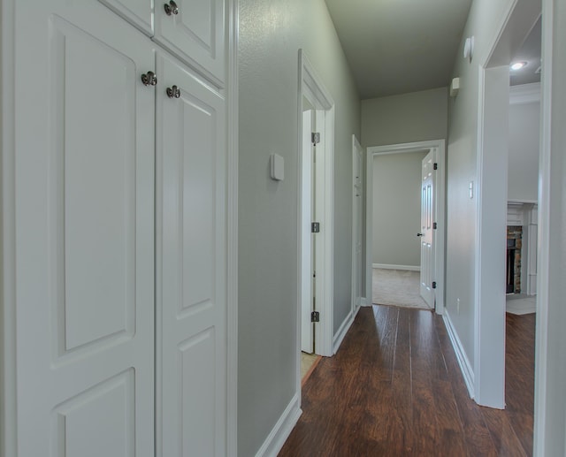 hallway featuring dark wood-type flooring