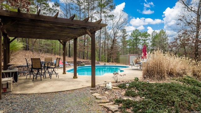 view of swimming pool featuring a patio area, a shed, and a pergola