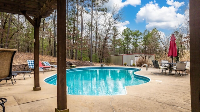 view of pool with an outdoor structure and a patio