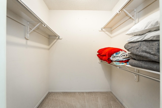 spacious closet with light colored carpet