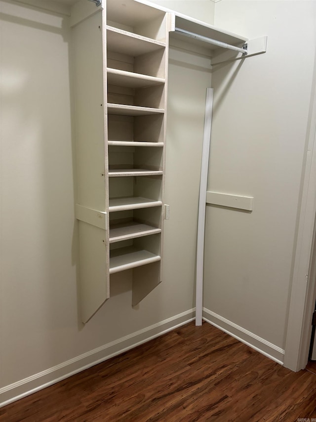 spacious closet featuring dark hardwood / wood-style floors