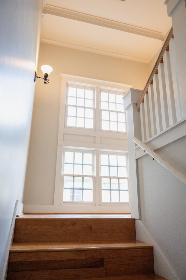 stairs with a wealth of natural light