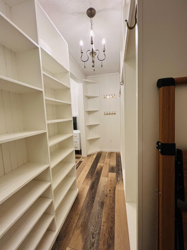 spacious closet with an inviting chandelier and hardwood / wood-style flooring