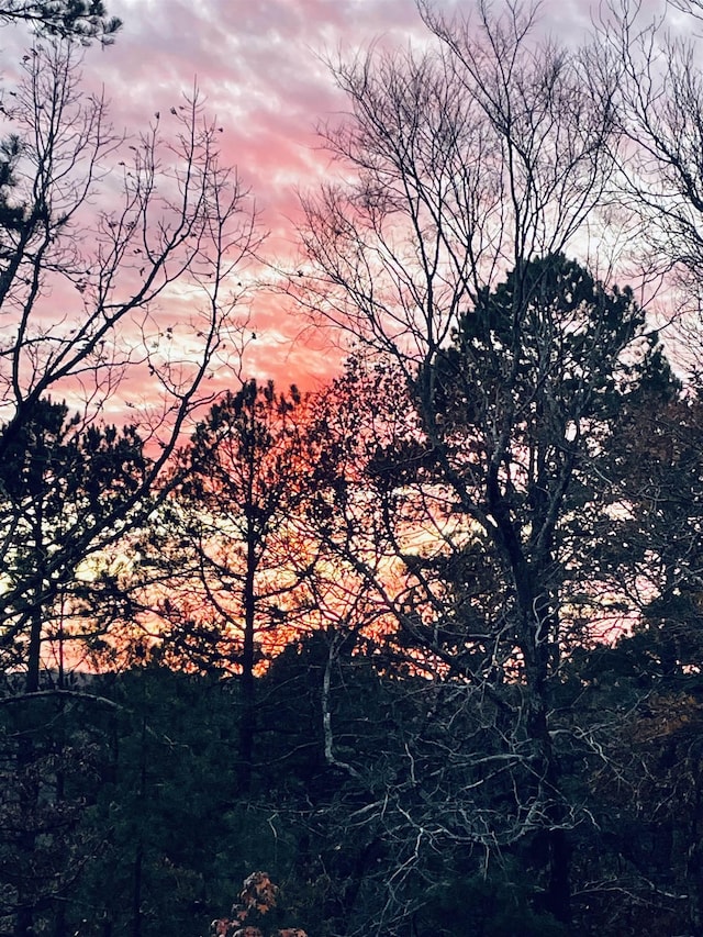 view of nature at dusk