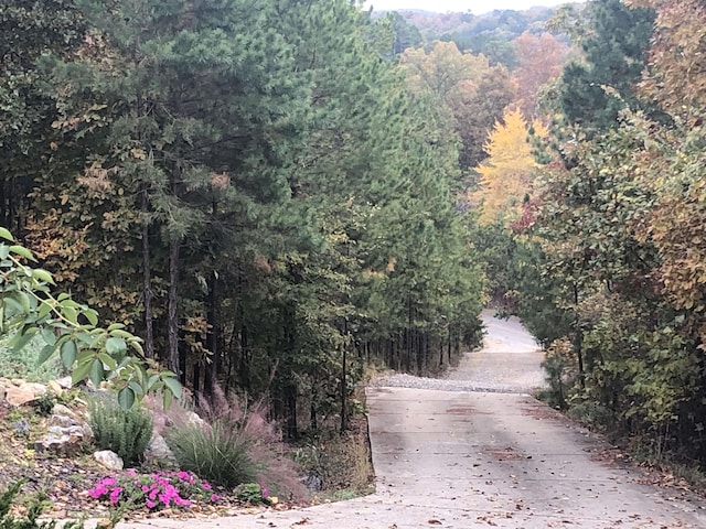 view of road