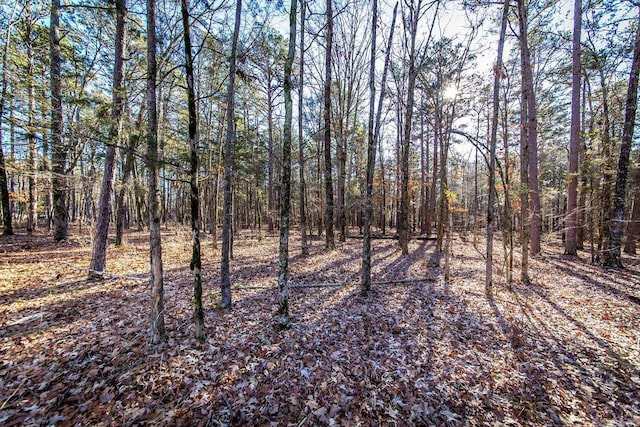 000 Woods Ln, Clinton AR, 72031 land for sale