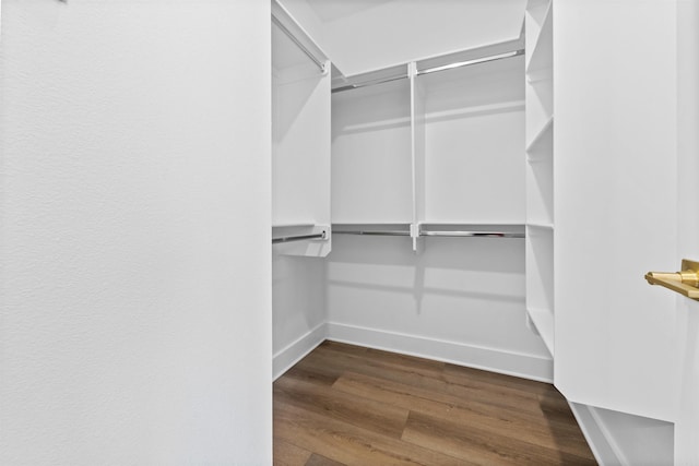 spacious closet with hardwood / wood-style floors