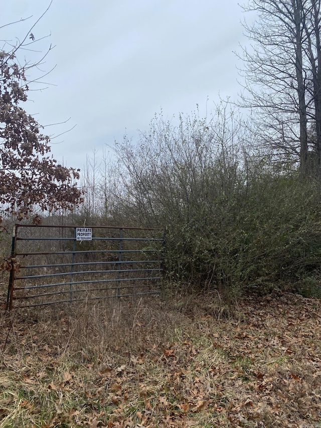 01 E Reveley Rd, Austin AR, 72007 land for sale