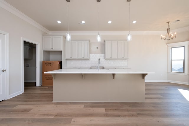kitchen with white cabinetry, sink, a kitchen breakfast bar, and a large island with sink