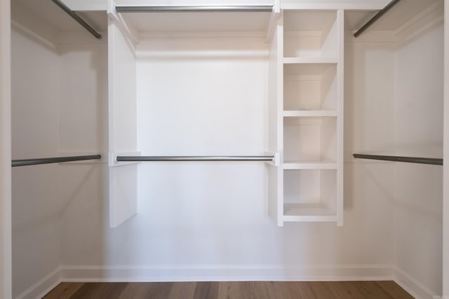 walk in closet with hardwood / wood-style flooring