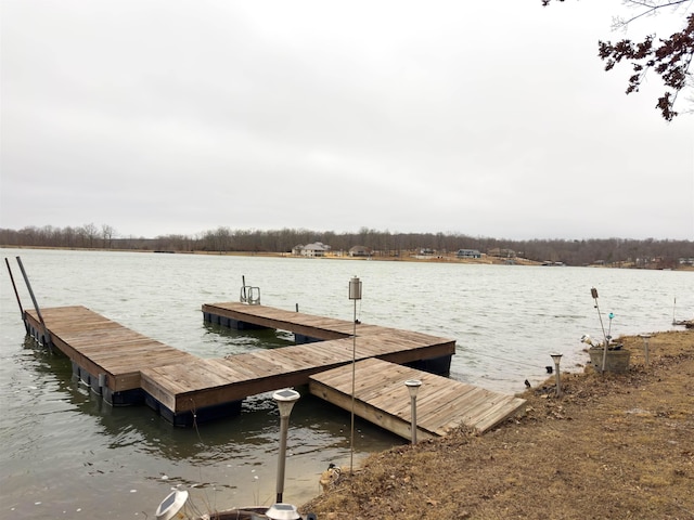 dock area with a water view