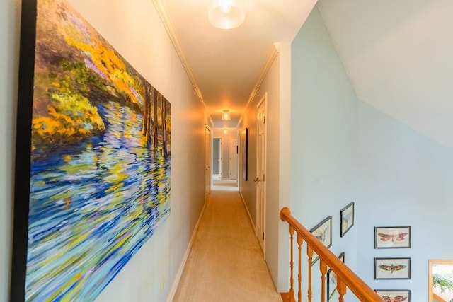 corridor with crown molding and light colored carpet