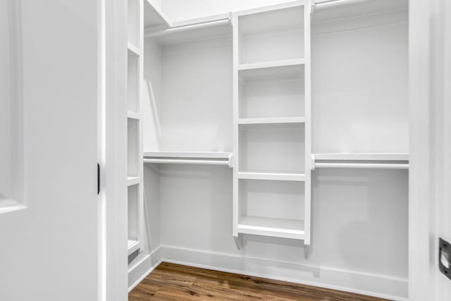 spacious closet with dark hardwood / wood-style floors