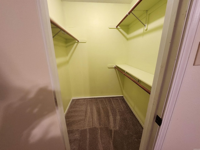 walk in closet featuring carpet flooring