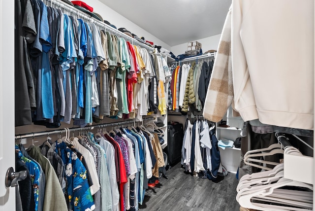 spacious closet with hardwood / wood-style floors