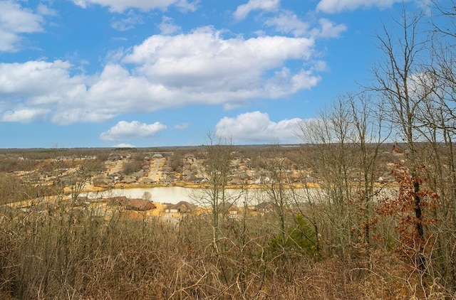 view of landscape featuring a water view