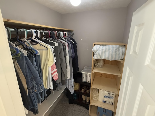 spacious closet with dark carpet