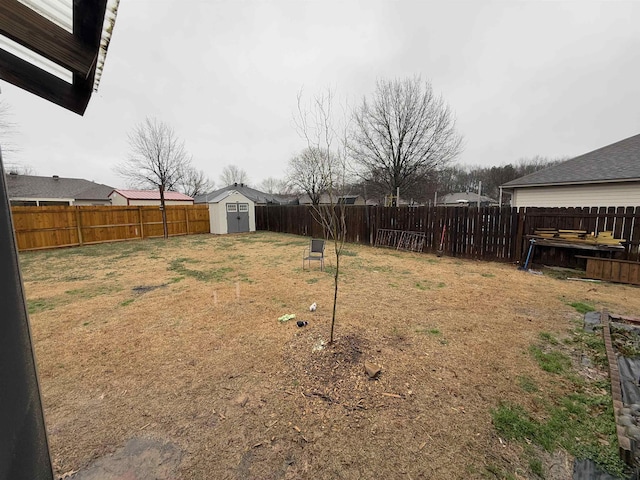 view of yard featuring a shed