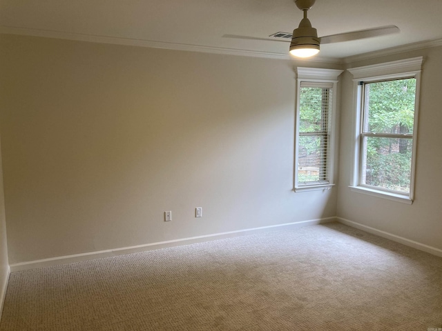 empty room featuring crown molding, ceiling fan, and carpet