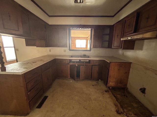 kitchen with crown molding, kitchen peninsula, sink, and dark brown cabinets