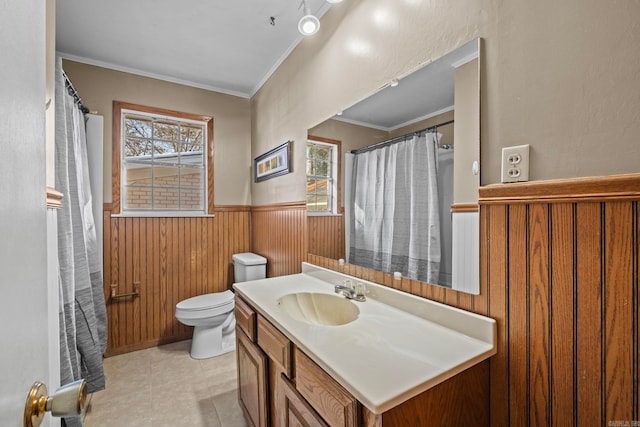 bathroom with wooden walls, a healthy amount of sunlight, vanity, and toilet