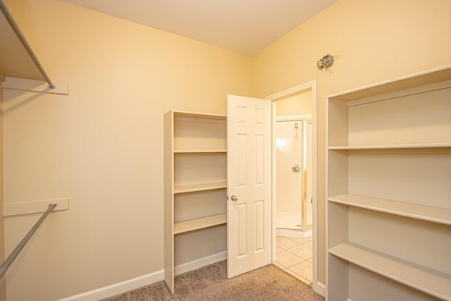 spacious closet featuring light colored carpet