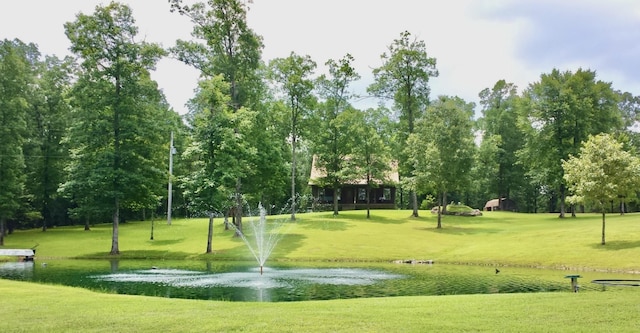 view of property's community featuring a water view and a yard