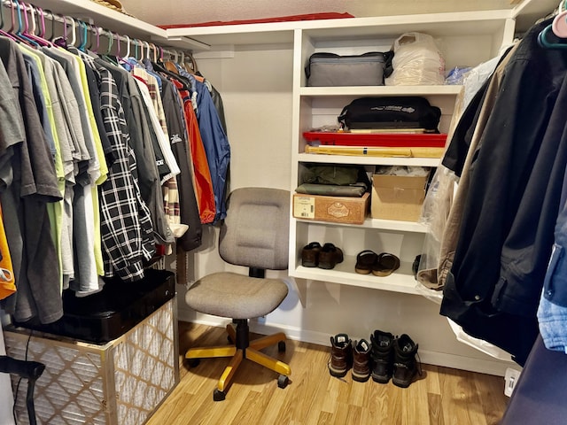 spacious closet with hardwood / wood-style flooring