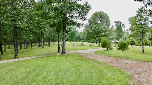 view of home's community featuring a yard