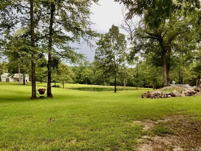 view of home's community featuring a yard