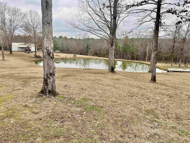 view of yard with a water view