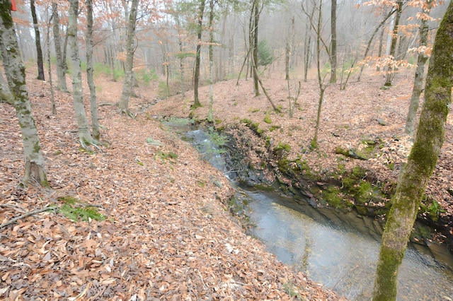 view of landscape