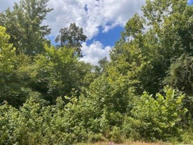 Address Not Disclosed, Lonsdale AR, 71909 land for sale