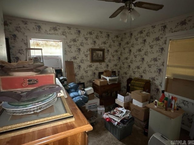 miscellaneous room featuring ceiling fan