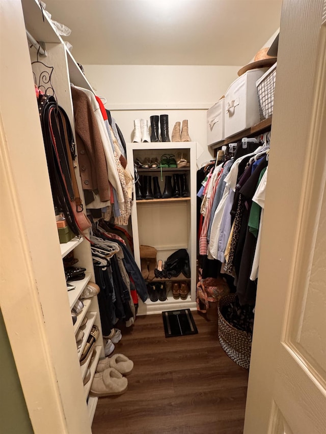 spacious closet featuring hardwood / wood-style flooring