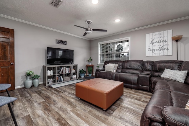 living room with ceiling fan, ornamental molding, hardwood / wood-style floors, and a textured ceiling