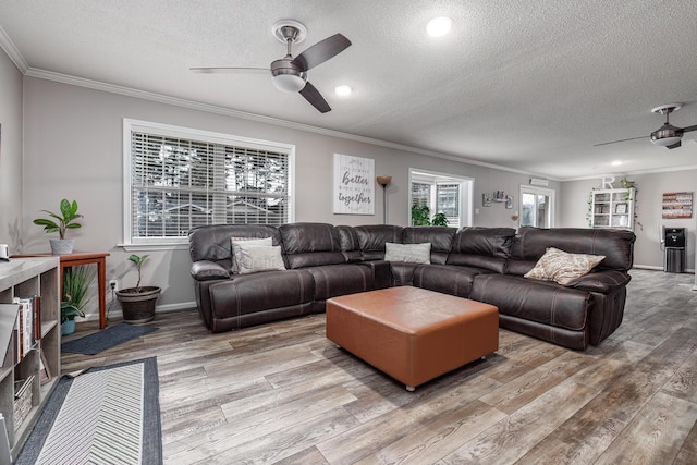 living room featuring crown molding, ceiling fan, light hardwood / wood-style flooring, and a textured ceiling