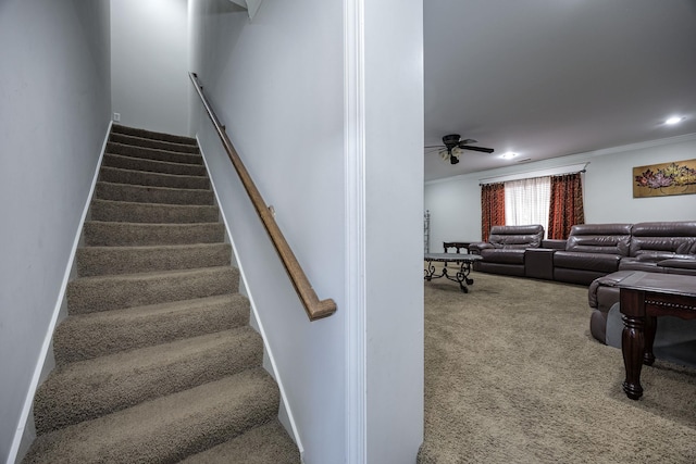 stairway featuring crown molding, carpet flooring, and ceiling fan