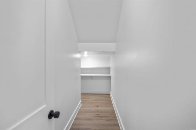 spacious closet featuring light wood-type flooring