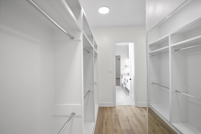 spacious closet featuring light wood-style flooring