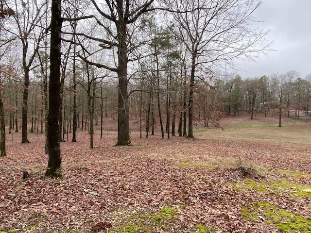 view of local wilderness