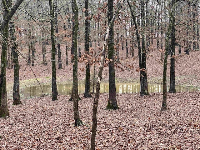 view of nature with a water view