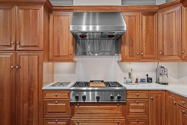 kitchen featuring tasteful backsplash, range hood, and stainless steel gas stovetop