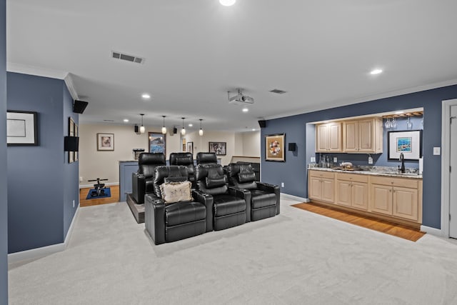 carpeted cinema featuring ornamental molding and sink