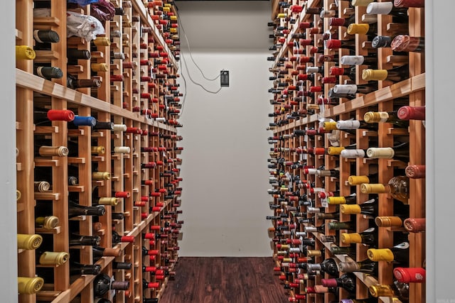 wine area with dark hardwood / wood-style floors