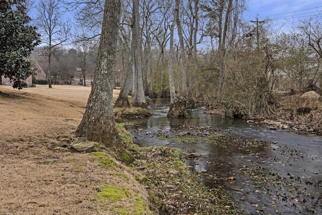 view of local wilderness