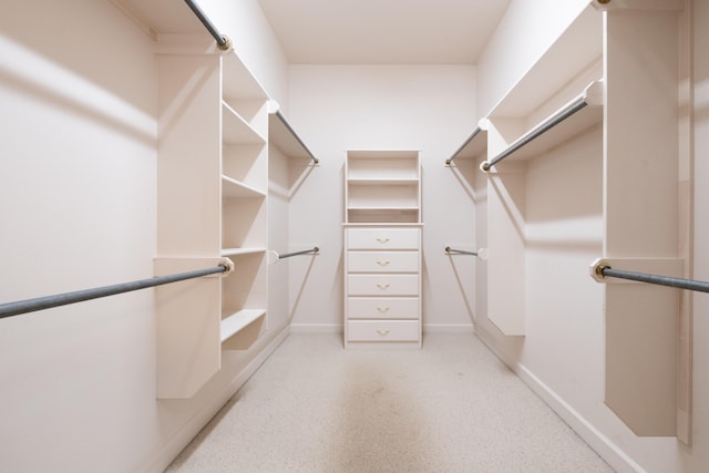 view of walk in closet