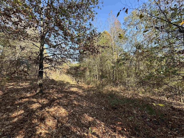 Listing photo 3 for 1.44ACRES Mcgee Rd, Benton AR 72019