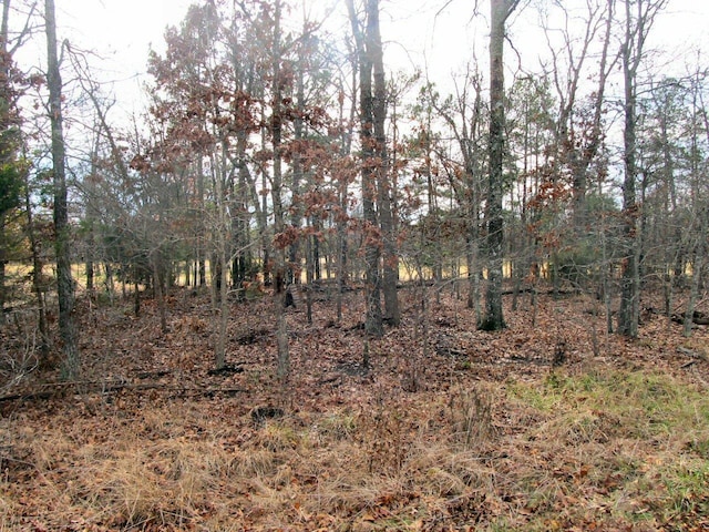 Tampa Dr, Cherokee Village AR, 72529 land for sale