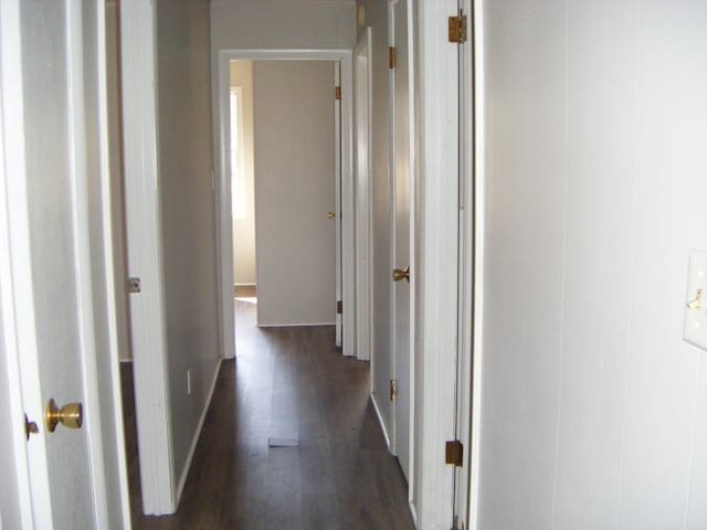 corridor with dark hardwood / wood-style flooring